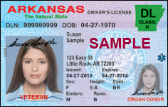 Veteran Driver License