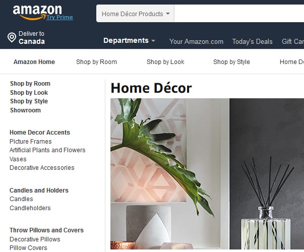 A screenshot of Amazon.com