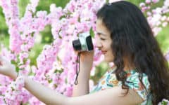 Sites for Sharing Spring Flower Photography header