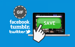 How to Save a GIF on Computer header