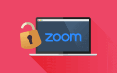 Zoom meeting with padlock